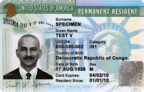 What The Green Card Looks Like .